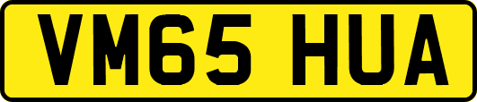 VM65HUA