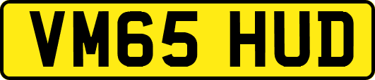 VM65HUD