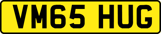 VM65HUG