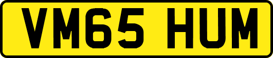 VM65HUM