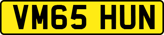 VM65HUN