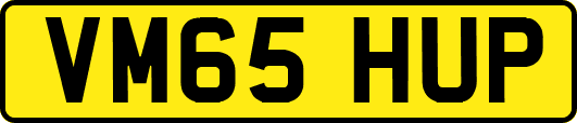 VM65HUP