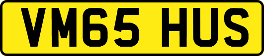 VM65HUS