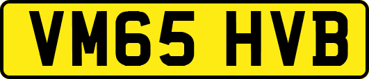 VM65HVB