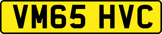 VM65HVC