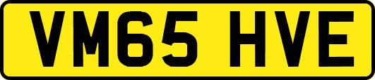VM65HVE