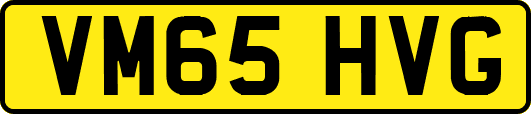 VM65HVG