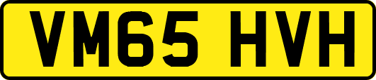 VM65HVH