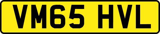 VM65HVL