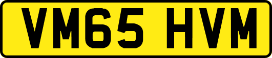 VM65HVM