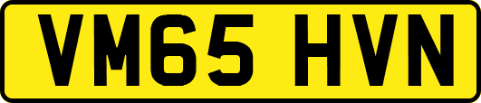 VM65HVN