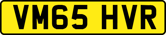 VM65HVR