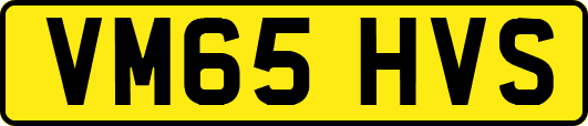 VM65HVS