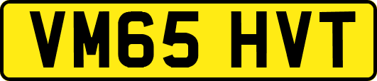 VM65HVT