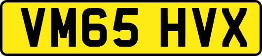 VM65HVX