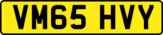 VM65HVY