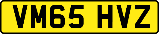 VM65HVZ
