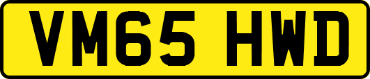 VM65HWD