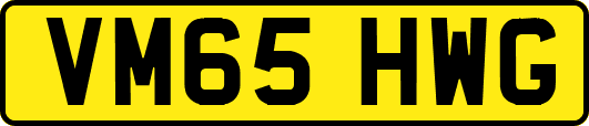 VM65HWG