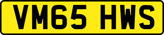 VM65HWS
