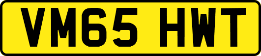 VM65HWT