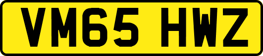 VM65HWZ