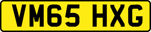 VM65HXG