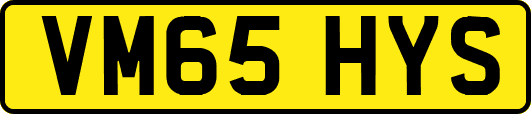 VM65HYS