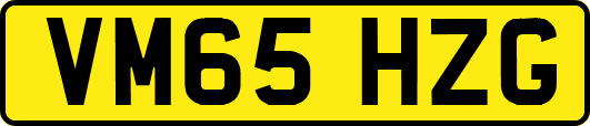 VM65HZG