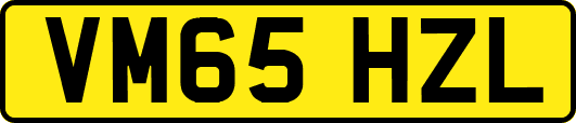VM65HZL