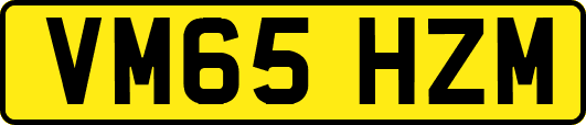 VM65HZM