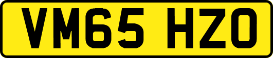 VM65HZO