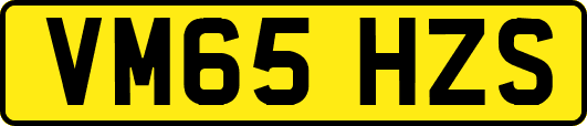 VM65HZS