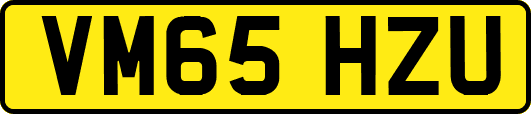 VM65HZU