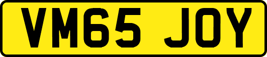 VM65JOY