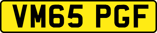 VM65PGF