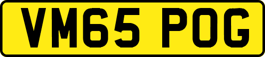 VM65POG