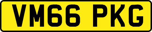 VM66PKG