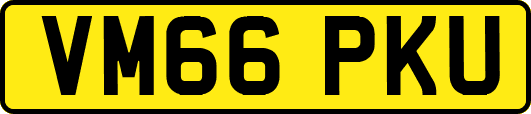 VM66PKU