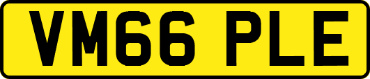 VM66PLE