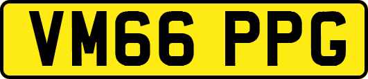VM66PPG