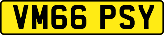 VM66PSY