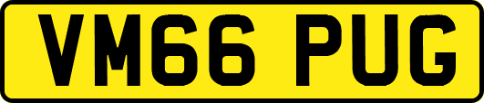VM66PUG