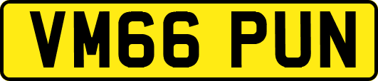 VM66PUN