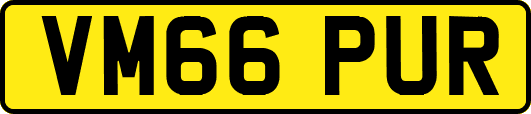 VM66PUR