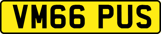 VM66PUS