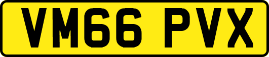 VM66PVX