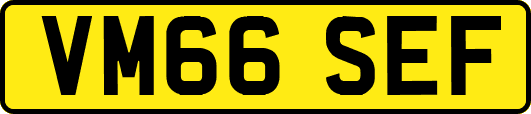 VM66SEF