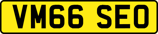 VM66SEO