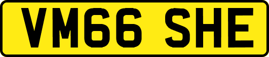 VM66SHE